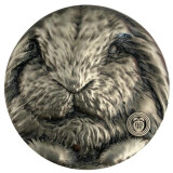 上海銮诚 上海造币厂生肖高浮雕50毫米铜章 2023年兔年50毫米128克兔年银章