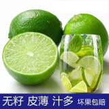无籽青柠檬【现摘现发】泰国品种新鲜现摘 皮薄多汁饮品用 当季现摘 无籽一级果奶茶店专用 2斤