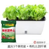 花目蓝 特大懒人自动吸水花盆 种菜盆 免浇水花盆 长方形环保树脂阳台户外蔬菜种植箱 种植盆多肉花槽 SC01超大花盆+20斤土壤