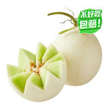 玉菇瓜1粒装1kg