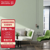 皇家罗兰 洒金墙布无缝提花环保净化甲醛壁纸墙纸客厅卧室电视沙发背景墙 【需定制】光触媒炭颗粒墙布
