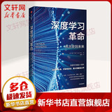 人工智能深度学习机器学习系列 ChatGPT AIGC GPT-4 Open AI 系列 深度学习革命 从历史到未来