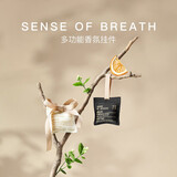 网易严选车载居家推荐 香氛除味除醛 固体香膏车内衣柜厕所卫生间除臭神器 暧昧之息（含丝带风口夹）香氛袋