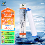 道尔顿（Doulton）【英国原装进口】净水器滤芯 KDF DIP301专用适配滤芯BioTect Ultra 9004型