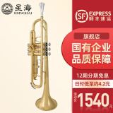 星海（XINGHAI INSTRUMENT）降b调小号乐器 XT-100/120学生考级儿童初学入门款学校乐队通用 升级XT-100型-黄铜变音管