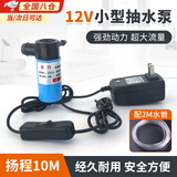 ZKHE抽水泵小型家用微型水泵12v电动抽水泵开槽抽水机水钻潜水自吸泵 小型抽水泵12V【2M水管款】 动力强劲,低压安全稳定