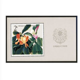 1974年-1991年T票小型张邮票全套合集 T票纪念小型张大全套 T111木兰小型张邮票