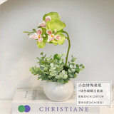 迷.妆绢花蝴蝶兰花假花插花盆栽装饰品仿真花套装搁板装饰窗台书桌摆件 小球+绿色蝴蝶兰