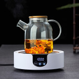 美斯尼 玻璃茶壶泡茶壶花果茶冷饮凉水壶加厚耐热烧水壶家用茶具套装 1600毫升壶 +电陶炉