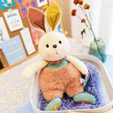 zak!毛绒玩具兔子玩偶布娃娃兔兔公仔抱枕生日礼物送女友暖阳50cm