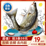 简鲜三去开背海鲈鱼400-500g*3条冷冻海鲜去鳃去鳞去内脏净鱼