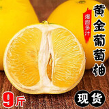 皇金蜜福建黄金葡萄柚纯甜爆汁大果新鲜水果黄心西柚纯甜时令中秋礼盒装 净重8.5斤-9斤