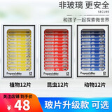 晶胜达儿童显微镜配件生物标本切片科普套装昆虫动物植物组织细胞标本 【|非玻璃】36片3种组合