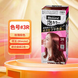 花王 （KAO） Blaune遮白发专用植物泡泡染发剂泡沫染发膏日本原装 3R 玫瑰棕色