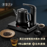 茶皇子（CHAHUANGZI） 全自动上水电热烧水壶茶艺泡茶专用小茶台电茶壶电磁炉单壶 XH-SH101 0.8L 黑色防烫款