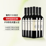 富丽安（FRAY LEON）酒云网 智利进口原瓶 富丽安梅洛干红葡萄酒红酒 750ML*6  整箱装（2023年份）