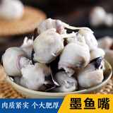 温州特产墨鱼嘴冷冻鱿鱼嘴即食干货新鲜大号墨鱼干500克目鱼干货 大号墨鱼嘴500g(净重)