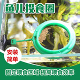 森森（SUNSUN）喂食圈鱼食投喂圈鱼儿投食圈带吸盘 喂食圈1只 直径5.5cm