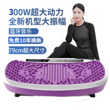 腾尔迈甩脂机抖抖机大功率大尺寸懒人全身腹部震动男女站立式智能摇摆机 120档大动力蓝牙紫色