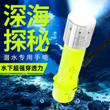 哈拿（TRE-Hana）潜水手电筒强光可充电水下防水照明超长续航夜潜专业探照灯 HN-QS29潜水手电筒【单电池版】
