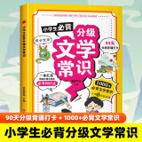 小学生必背分级文学常识积累大全 中国历史古代现代国外文学常识小学语文基础知识强化训练大全 一二年级三四五六年级小学课本里的语文基础知识课外历史科普书