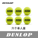 登路普网球ING50%含毛量耐打专业训练使用教练发球机用球行货高级训练球 六个球单人量