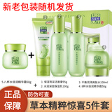 百雀羚（PECHOIN） 套装女 草本精粹惊喜礼盒水乳护肤补水保湿深层清洁母亲节礼物 草本惊喜礼盒+霜