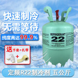 惠利得制冷剂加氟氟利昂r22制冷液加氟工具套装冷媒雪种冰种 定频 R22 净重5公斤