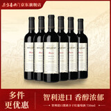黛莉卡【智利原装进口葡萄酒】 13°干红葡萄酒瓶装750ml聚会婚宴佳品 智利进口黛莉卡 1箱6支