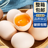 莳篱 鲜鸡蛋 营养早餐 普通鸡蛋 柴鸡蛋笨鸡蛋 土鸡蛋30枚【50g/枚起】
