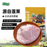 龙大肉食 黑猪猪肚400g 蓬莱生态黑猪肉生鲜 猪肚鸡猪肚丸猪肚火锅原料