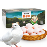 保卫蛋蛋新鲜鸽子蛋农家孕妇宝宝杂粮喂养送礼礼盒年货节礼盒送礼 精选大个丨鸽子蛋60枚（1200g）