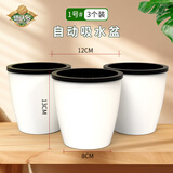 德沃多肥料自动吸水盆1号*3花盆懒人盆可储水创意简约家庭阳台树脂花盆种菜
