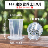 侬景园新款蝴蝶兰花盆控根盆透明青山盆文心兰盆透明塑料透气盆 14#盆口径14厘米(带托盘)