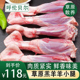 鲜羊官 内蒙古草原羊肉  羊腿 羊小腿 羊腱子 羔羊烧烤食材 法式小腿2.2斤