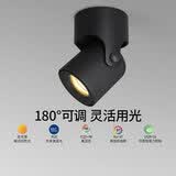 爱斯兰明装射灯LED客厅照画公司LOGO电视背景墙灯简约筒灯 明装-小号黑色7W 暖光