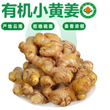褚系严选【有机小黄姜】云南高山生姜 新鲜现挖 月子老姜 蔬菜调味食材   【有机鲜姜】1500g