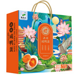 藕荷泥洪湖生咸鸭蛋不咸的咸蛋正宗流油红心鸭蛋湖北特产整箱盐蛋礼盒 洪湖咸鸭蛋20枚【礼盒装】顺丰