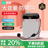 索爱（soaiy）S318小蜜蜂扩音器教师专用U盘TF卡麦克风喇叭防啸叫导游蓝牙音箱户外教学讲课  TYPE-C金