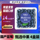 京鲜生 国产蓝莓 4盒装 约125g/盒 14mm+ 新鲜水果 源头直发 包邮