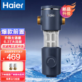 海尔（Haier） 前置过滤器家用全屋自来水净化净水器升级6T反冲洗带压力表大通量中央管道过滤器 HP35官方配置