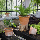 掬涵红陶小花盆多肉绿植盆花器特大号粗陶陶土透气泥瓦培栽盆种植花器 B款中号1个（16*13cm）