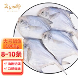 卖鱼七郎冷冻东海小银鲳鱼平鱼深海鱼生鲜鱼类海鲜水产1kg/（8-10条装）