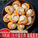 新食道特大扇贝肉 新鲜活冻处理 现剥扇贝柱瑶柱元贝 海鲜水产贝类 扇贝肉1斤装