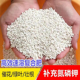 化肥复合肥氮磷钾肥家用种菜种花肥料花卉盆栽果树通用型有机肥 高效复合肥五斤