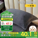 艾薇 牛奶绒枕套法兰绒加厚保暖枕头套一对 R绒深黑 48*74cm