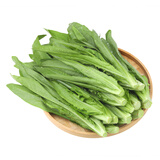 油麦苗250g(长度≤25cm)