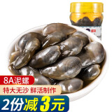 潮龙8A醉泥螺260g 即食海鲜下饭下酒菜宁波特产上海风味黄泥螺 8A泥螺260g