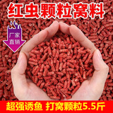 乐加酷红虫蚯蚓钓鱼颗粒窝料鲫鱼鲤鱼青鱼草鱼饵料野钓打窝黑坑散装鱼食 5斤红虫蚯蚓(中颗粒4mm)