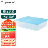 特百惠（Tupperware）冰箱冷冻保鲜盒加大型密封储藏收纳盒肉类储藏专用食品级3.3L